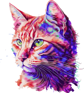 Png de chat coloré