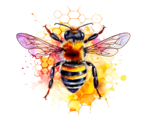 Abeille sur un rayon