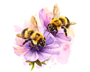 Abeilles sur des fleurs